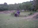 IMGP0627.JPG